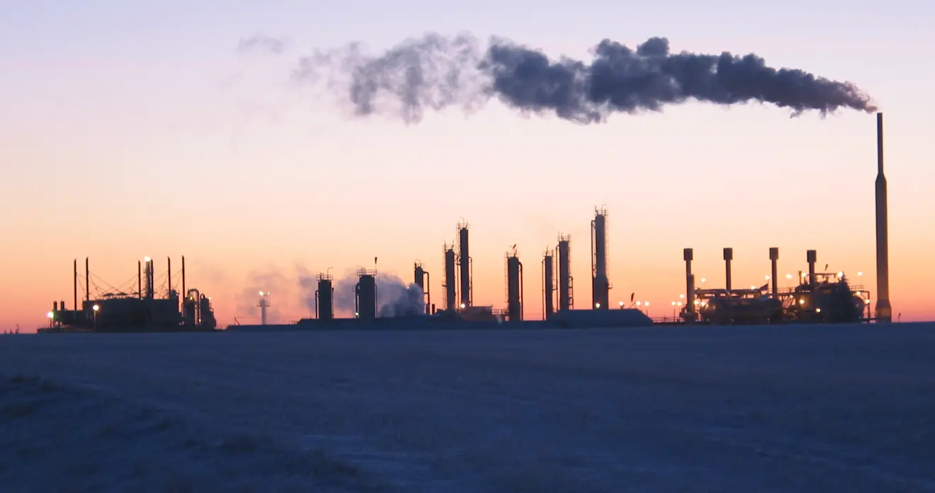 Turnaround Project | Audubon