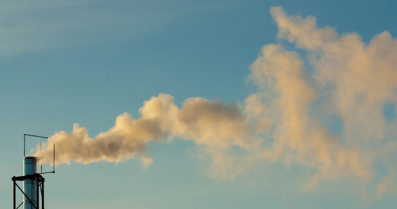 Large-Scale Carbon Capture + Sequestration | Project | Audubon