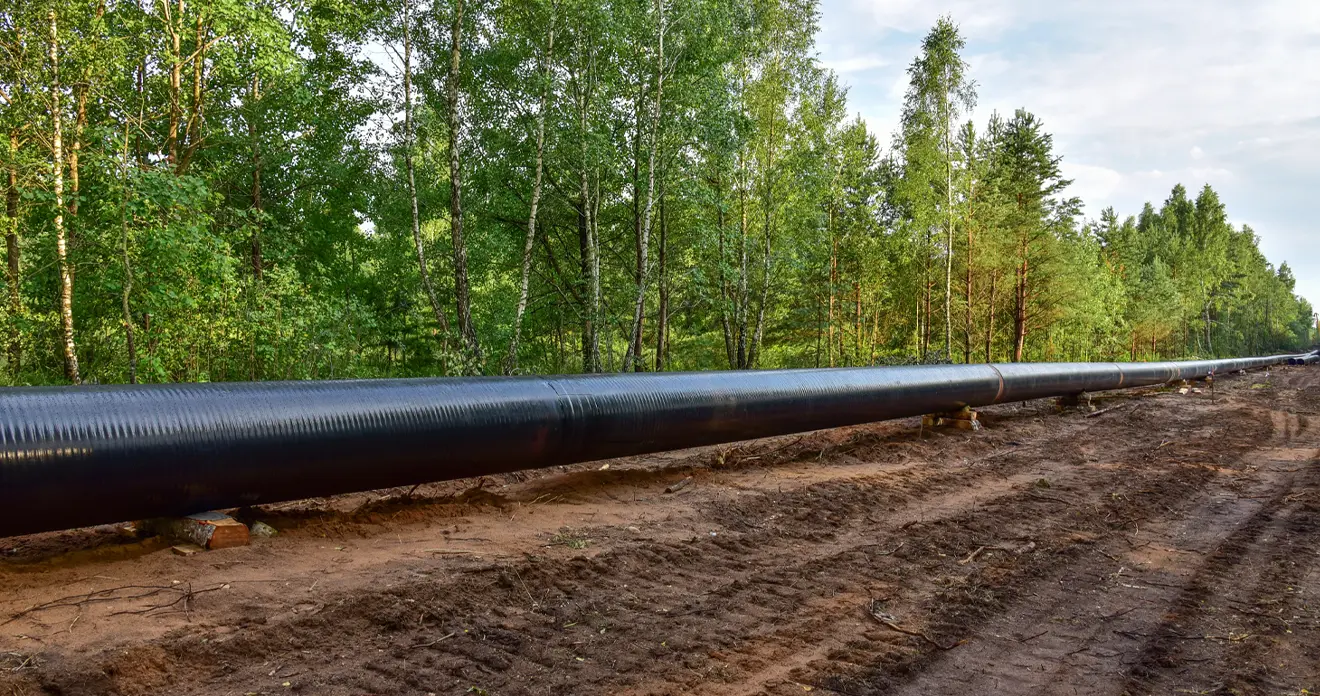 Renewable Natural Gas Pipeline | Project | Audubon
