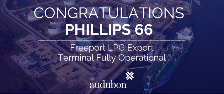 Freeport LPG Export Terminal