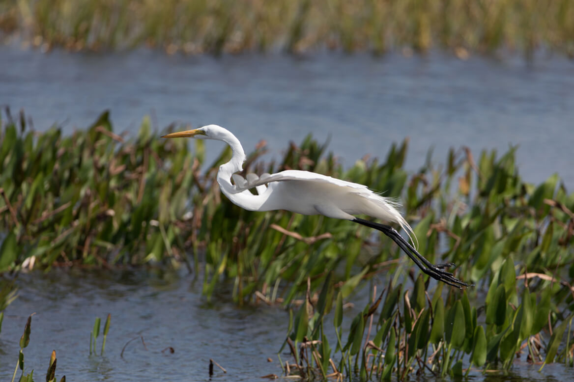 Environmental Permitting | Audubon Companies