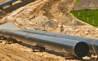 Audubon Field Solutions appoints Director of Pipeline Integrity