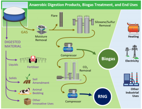 Converting Farm Methane Emissions into Clean Energy: How Renewable ...