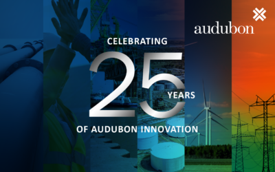 Audubon Engineering Company Celebrates 25th Anniversary