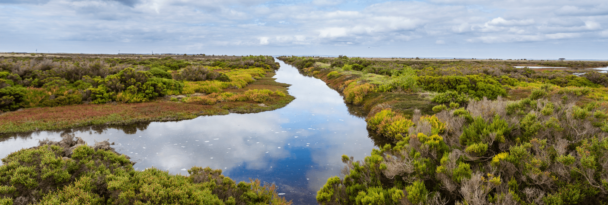 Environmental Consulting + Regulatory Services | Audubon