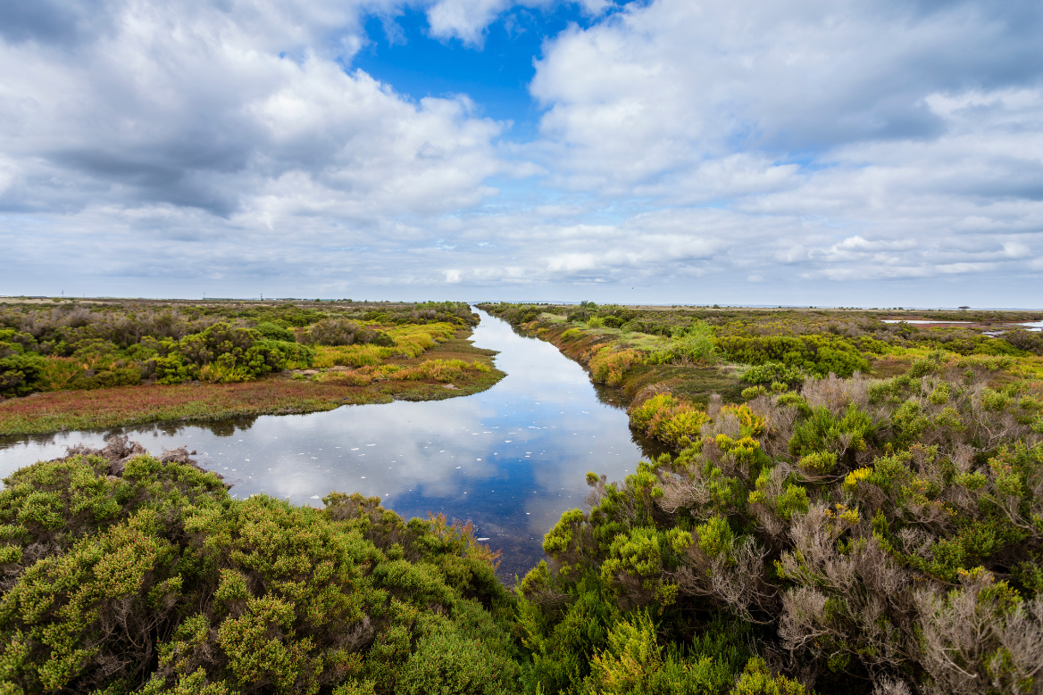 Environmental Consulting & Regulatory Services | Capabilities | Audubon