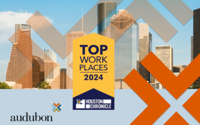 Houston Chronicle Names Audubon #8 Top Workplace for 2024